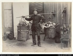 Chinese fruit and vegetable hawker c1895. National Library of Australia.