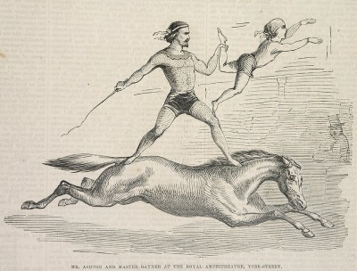 Ashton's equestrian act