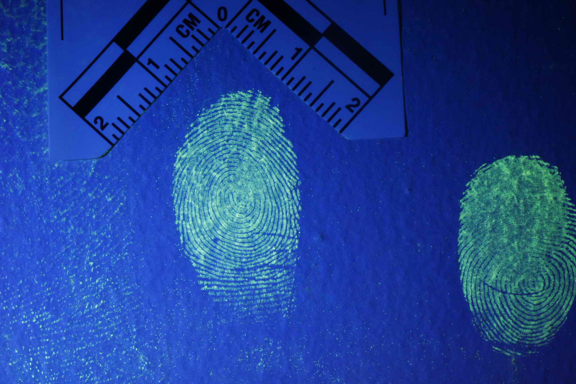 Fingerprints visible with the Polilight forensic lamp, image courtesy Rofin Australia Pty Ltd