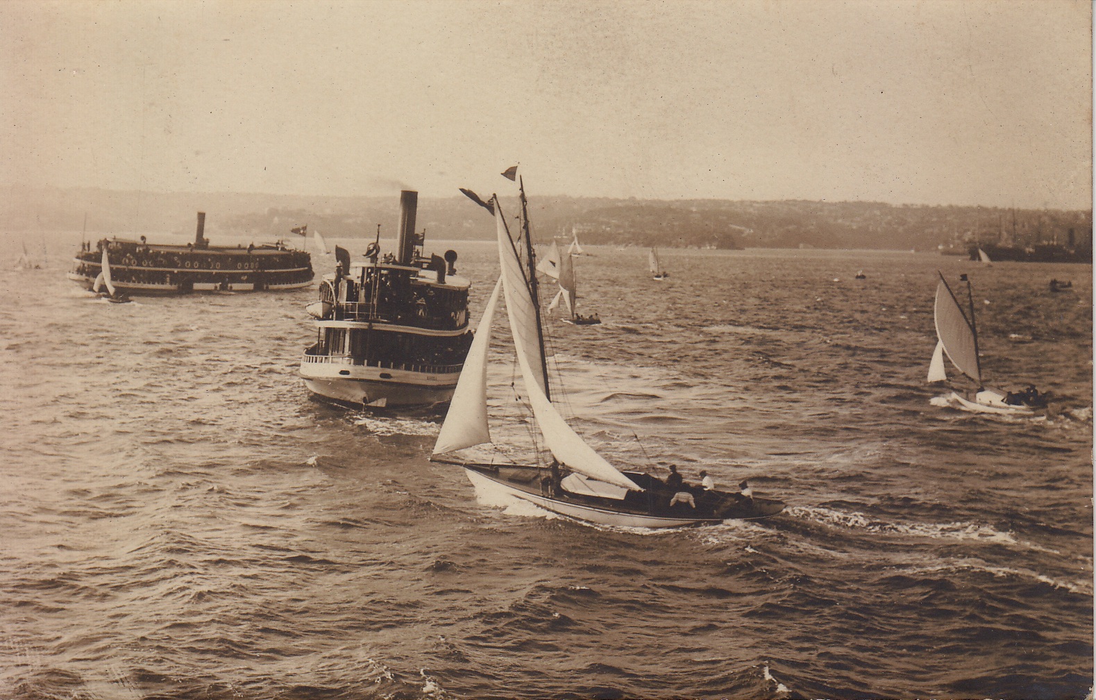 Athene with a Sydney ferry