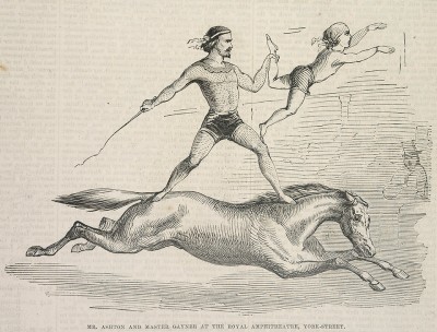 Circus in Sydney